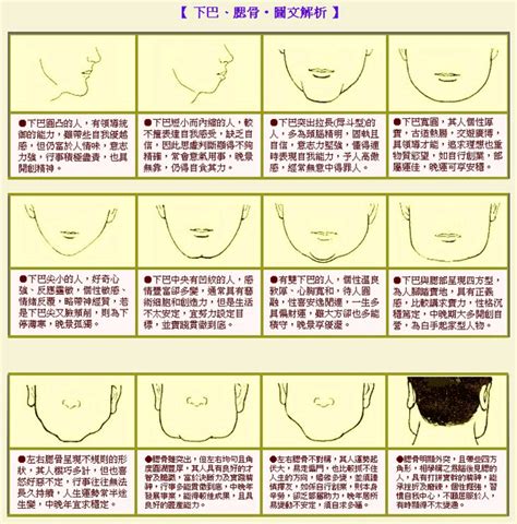 長下巴 面相|【下巴長面相】下巴長的面相大公開：財運亨通、貴人扶植，福氣。